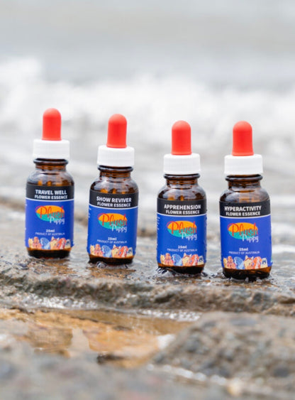 Apprehension Flower Essence Drops- 25ml