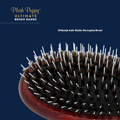Ultimate Anti Static Porcupine Brush