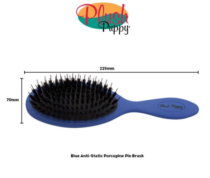 Blue Anti Static Porcupine