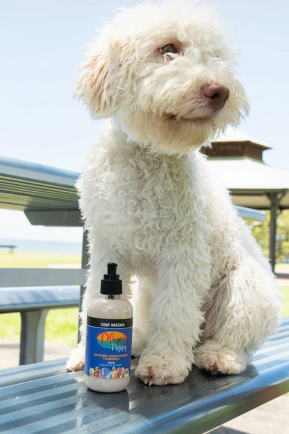 Coat Rescue - Intensive Conditioning Treatment