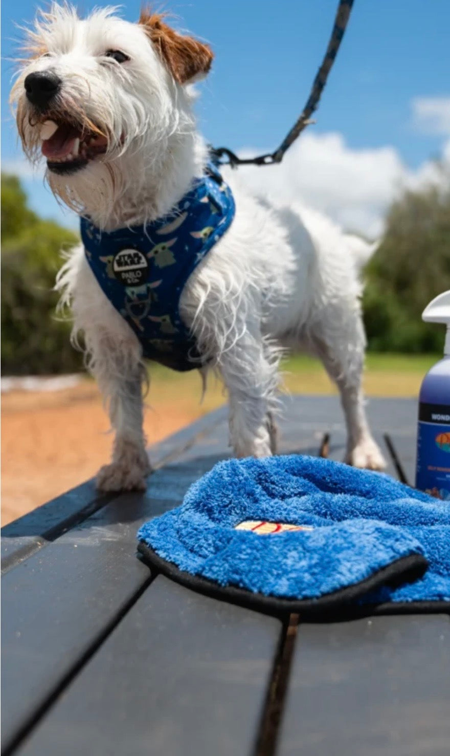 Grooming Towels