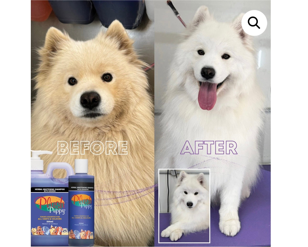 Herbal Whitening Shampo med Ginseng