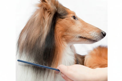 Plush Puppy Profesjonelle Hundekammer – Ergonomiske Grooming-kammer