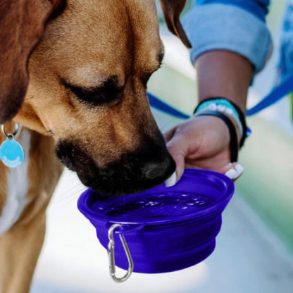 Collapsible Pet Bowl