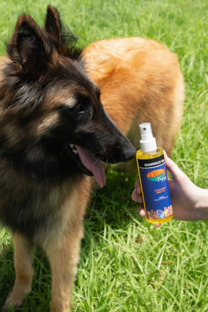 Plush Puppy Seabreeze Oil – Pleiende Hundeolje med Glans