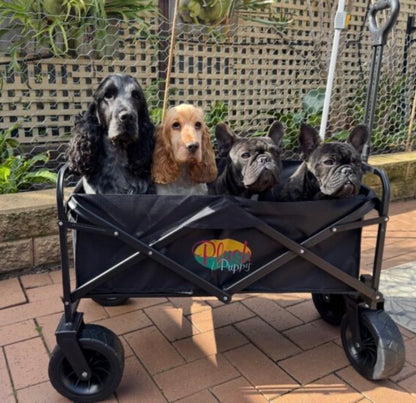 Plush Puppy Trolley Chart