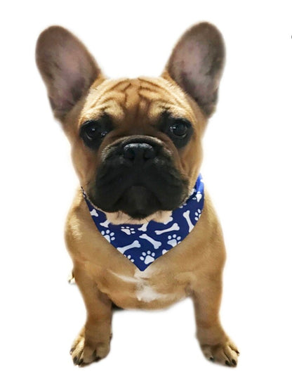 Dog Bandanas