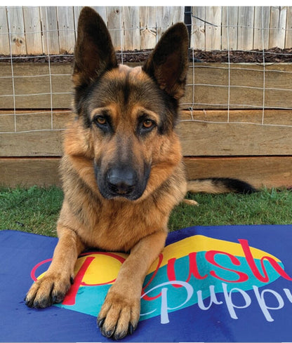 Pro-Grooming Mat Grooming Accessory