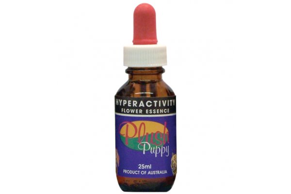 Hyperactivity Flower Essence Drops - 25ml